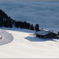 in den nebel