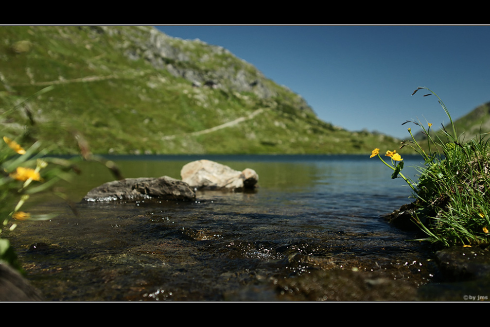 blume am see