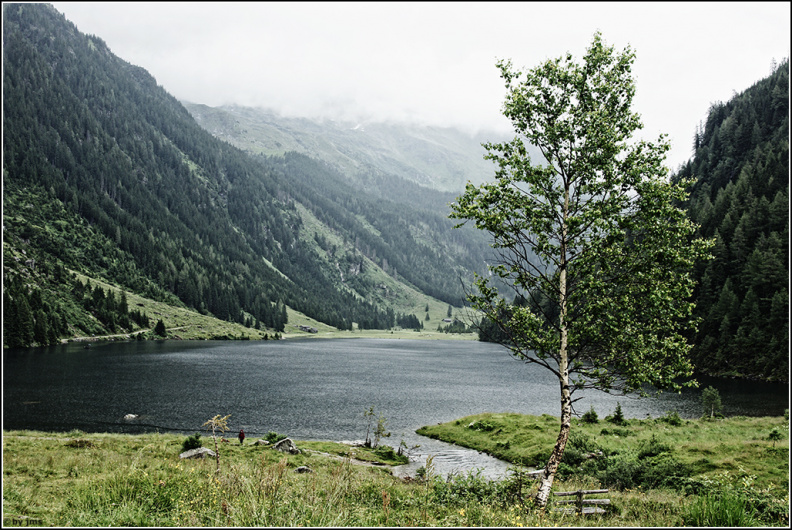 regen