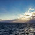 Hurtigruten-Tag06-180-Honningsvag