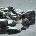 Hurtigruten-Tag09-251-Lodingen.jpg