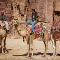 Petra-Kamele-drei-Reiter-zwei-1