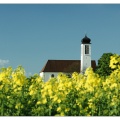 Turm im Senf-Meer