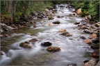 wilde wasser ganz zahm
