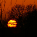 Sonne I