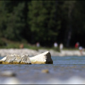 Steine_im_Fluss.jpg