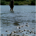 im_wasser.JPG