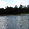 pano