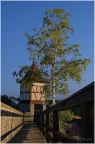 Tuermchen bynight