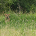 7IV05609_kl